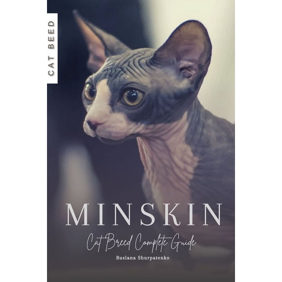 Minskin: Cat Breed Complete Guide (Paperback)