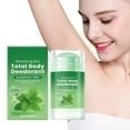 thumbnail image 1 of Mint Body Deodorant Stick Long-lasting Odor-free Refreshing Sweat-control 30g, 1 of 8