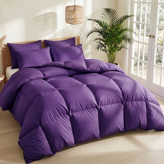 Mint Green Comforter Set, King, 3 Piece with Pillow Shams, Polyester, All Season, Modern Contemporary Style
