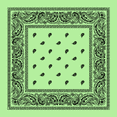 thumbnail image 1 of Mint Green Paisley Bandana - Single Piece 22x22, 1 of 3