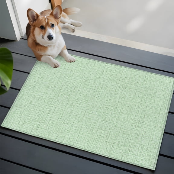 Mint Green Solid Washable Entry Rug 2x3 Minimalist Cloth Pale Lime Linen Texture Low Pile Indoor Door Mat with Rubber Backing Thin Area Rug for for Entrance, Bedroom, Kitchen, Laundry, Bathroom