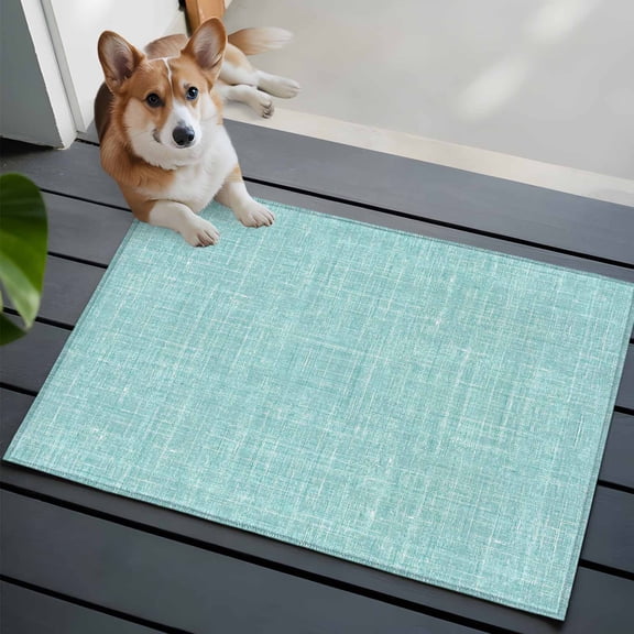 Mint Green Washable Entry Rug 2x3 Abstract Modern Farmhouse Solid Color Low Pile Indoor Door Mat with Rubber Backing Thin Area Rug for for Entrance, Bedroom, Kitchen, Laundry, Bathroom