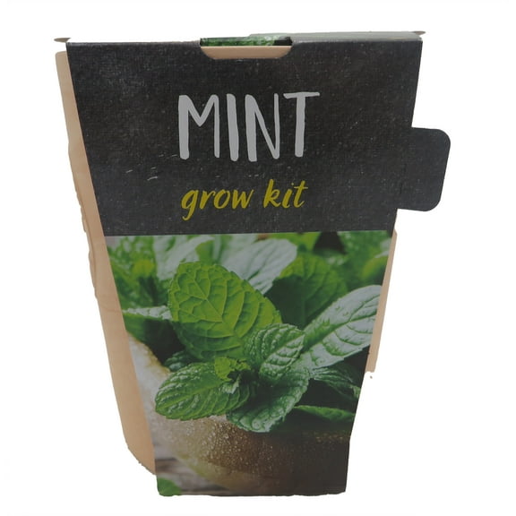 Mint Grow Kit - Ceramic Planter