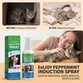 thumbnail image 1 of Mint Pet Training Spray 80ml, Attract and Soothe Dogs for Interactive Play, Calming Spray for Pets, 1 of 8