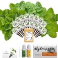 thumbnail image 1 of Mint Seed Pods for AeroGarden, Ahopegarden, GARDENCUBE, iDOO and All Hydroponics Growing Systems, 16 Pods, Spearmint, Catmint, Bergamot mint, 1 of 7