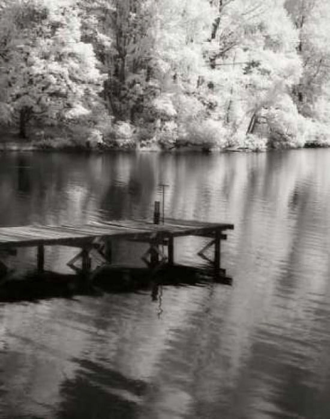 Mint Springs Lake BW V Canvas Art - Alan Hausenflock (22 x 28)