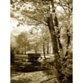 thumbnail image 1 of Mint Springs Lake I Poster Print by Alan Hausenflock (9 x 12), 1 of 2