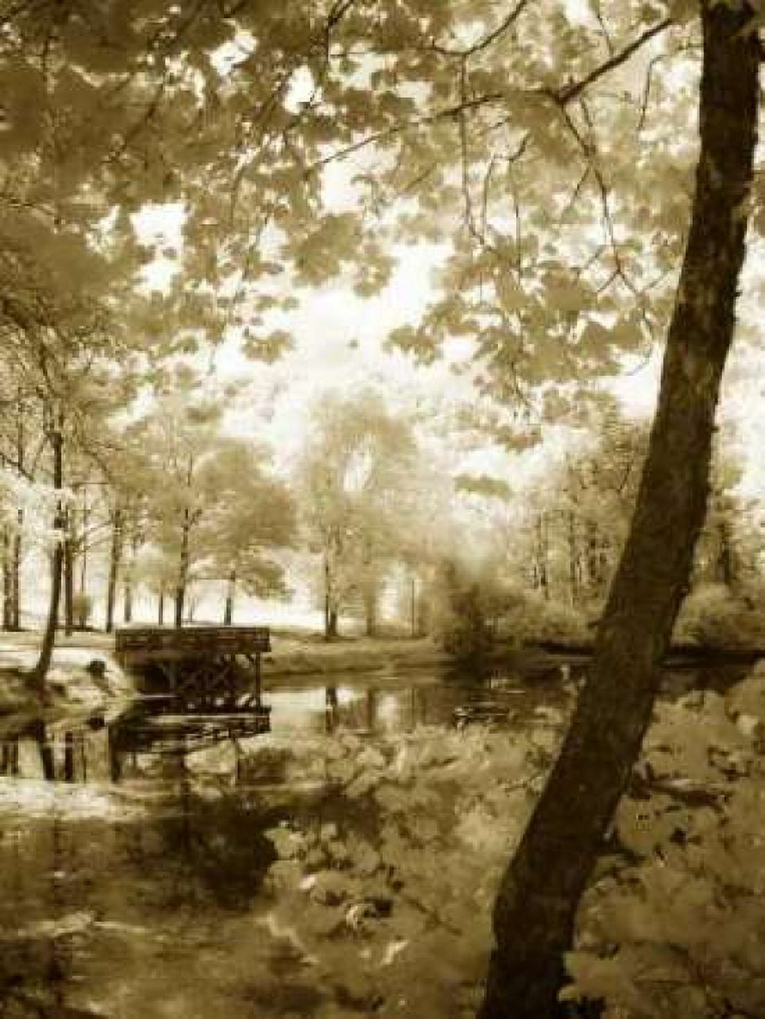Mint Springs Lake II Canvas Art - Alan Hausenflock (18 x 24)
