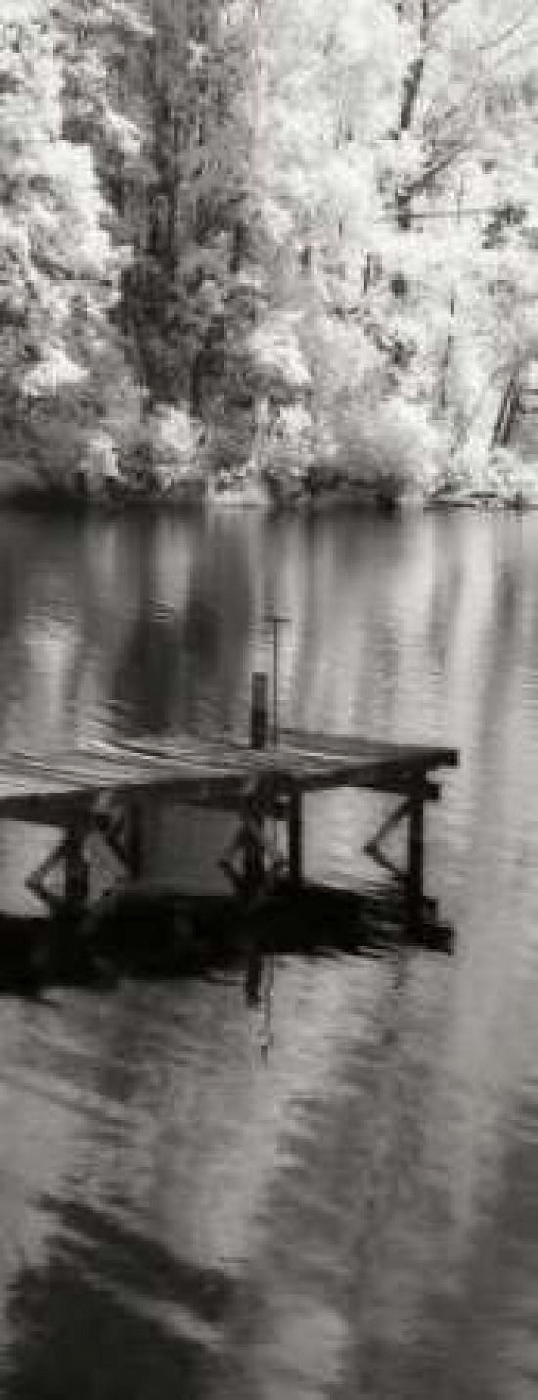 Mint Springs Lake Panel I Canvas Art - Alan Hausenflock (24 x 48)