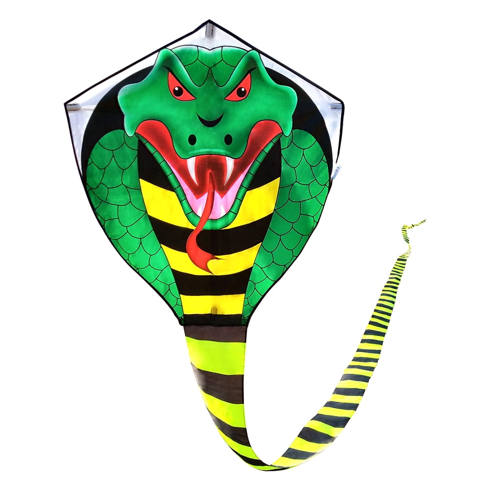 Mint's Colorful Life Large Cobra Kite for Kids and Adults, Polyester