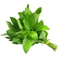 thumbnail image 1 of 99 Ranch Fresh Mint Leaves - Aromatic Culinary Mint For Garnish, Salads, Teas, 1 bundle, 1 of 1