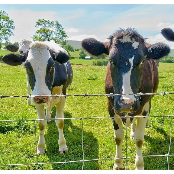 Mintazer 3ft x 164ft 14Gauge Galvanized Field Wire Fence, Heavy Zinc Coating Cattle Fence for Livestock Deer Goat Hog, Farm Fence for Farm Yard