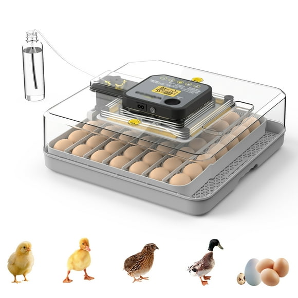Mintazer 48 Egg Incubator with Automatic Egg Turning and Humidity Control, Built-in Egg Candler, 360 Clear View with Temperature Display