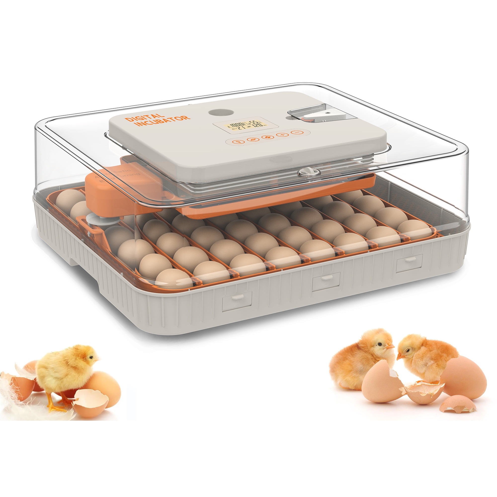 Mintazer 56 Egg Incubator with Automatic Egg Turning and Humidity Control, Built-in Egg Candler, 360° Clear View with Temperature Display