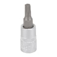 thumbnail image 1 of Mintcraft 55050029SD Star Bit Socket, 1/4 Drive, T25 Bit, 1 of 1