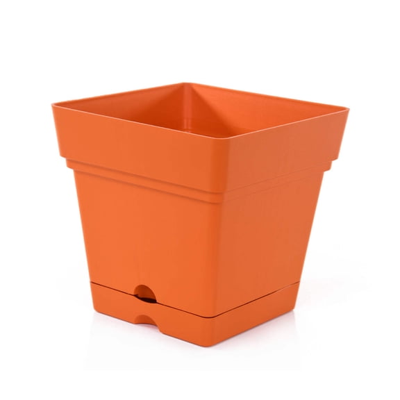 Mintra Garden - 6.75in Square Garden Pot (6.75in x 6.75in)