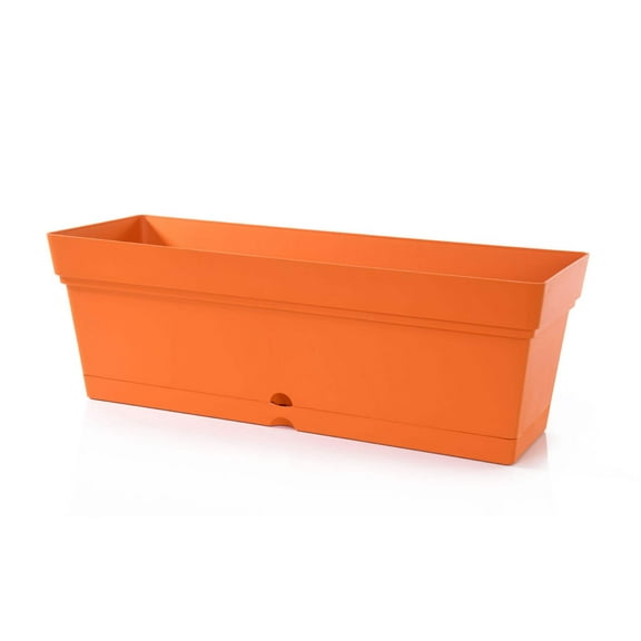Mintra Garden - Window Box Planter (19inW x 6.75H)