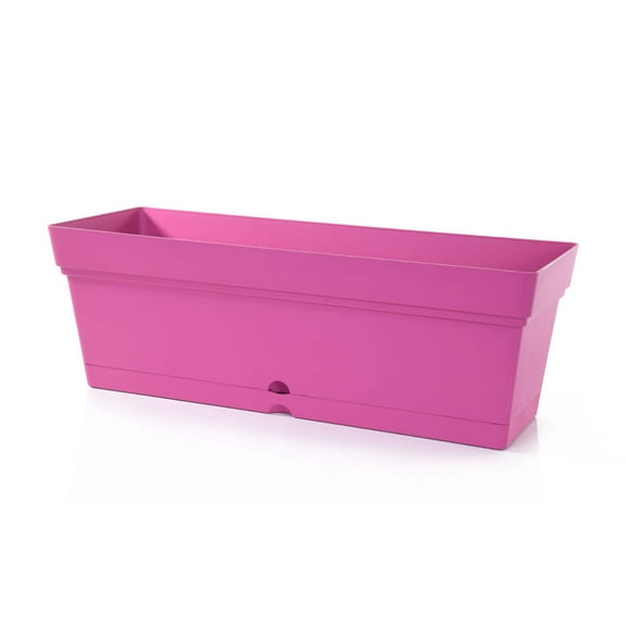 Mintra Garden - Window Box Planter (19inW x 6.75H)