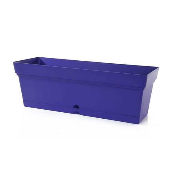 Mintra Garden - Window Box Planter (19inW x 6.75H)