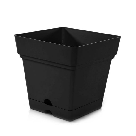 Mintra Home 7" x 7" x 7" Square Black Plastic Plant Pot