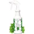 thumbnail image 1 of Minty Insect & Pest Control, Powerful & Natural 5% Peppermint Oil Spray for Ants, Spiders, Bed Bugs, Dust Mites, Roaches and More - Indoor and Outdoor Use, 16 fl oz Pint, 1 of 6