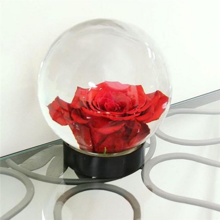 Minuteman-Achla Outdoor Flower Aquarium