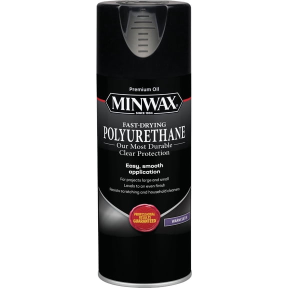 Minwax Fast Drying Spray Polyurethane - Pack of 2
