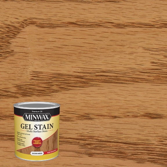Minwax Gel Stain - Single Pack