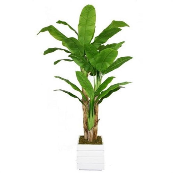 Minx NY VHX117211 Vintage Home 78 in. Tall Banana Tree with Real Touch Leaves in 14 in. Fiberstone Planter