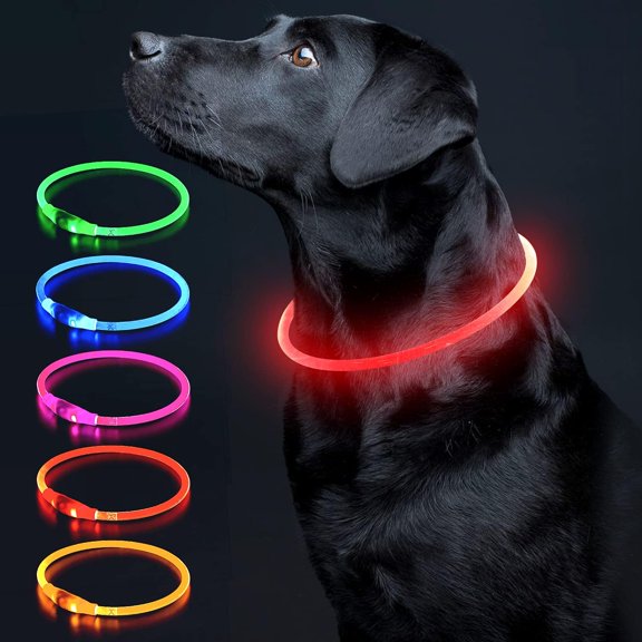 Minzimin 1 Pcs LED Dog Collar Light Up Dog Collars 1 Count USB Rechargeable TPU Glow Safety Basic Dog Collars, Please Do Not Use Fast Charging