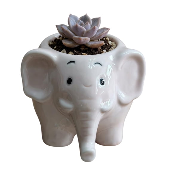 Minzimin Cute Elephant Succulent Planter with Drainage Hole, Ceramic Mini Animal Flower Pot for Desk Decor, Small Cactus Container (No Plants or Soil Included)