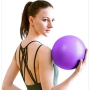 Minzimin Pilates Ball 9 Inch Core Ball, Small Exercise Ball with Exercise Guide Barre Ball Mini Yoga Ball for Pilates, Yoga, Core Training, Physical Therapy, Balance, Stability, Stretching