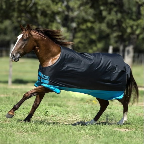 Amigo Mio Turnout Lite 0g Black/Turquoise 60