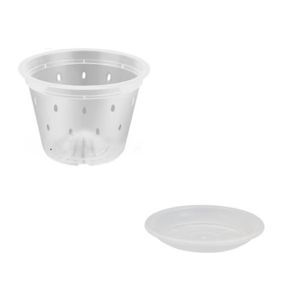 Miommo Clear Orchid Pot 125# with Saucer, Transparent Breathable Plastic Root Control Flower Pot for Phalaenopsis Dendrobium, 1-Pack