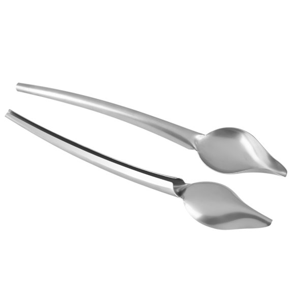 Mioren Dessert Decor SpoonDecor Stainless Steel Sauce Spoon Draw Tool for Dressing Dessert Food Plate Decor Design L