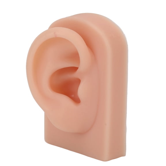Mioren Silicone Ear Model Silicone Human Ear Model, prosthetic Ear Model Soft Right Ear for Ear Piercing Training for Headphones Display Dark Complexion