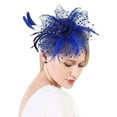 thumbnail image 1 of Miorin Under $5 Tea Party Headpiece for Women, Womens Fascinators Hats, Tea Party Hats for Women Headband with Mesh for Wedding Cocktail Dresses Blue, 1 of 2