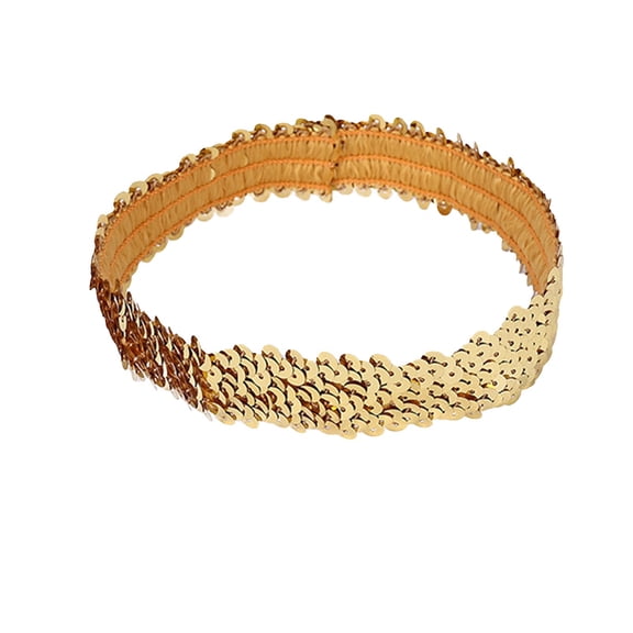 Miqool Sequin Headbands for Women and Teens Girls, Elastic Stretch Sparkly Glitter Headband Sports Hairband Headpieces Hair Accessory for Nightclub Rave Party Favors
