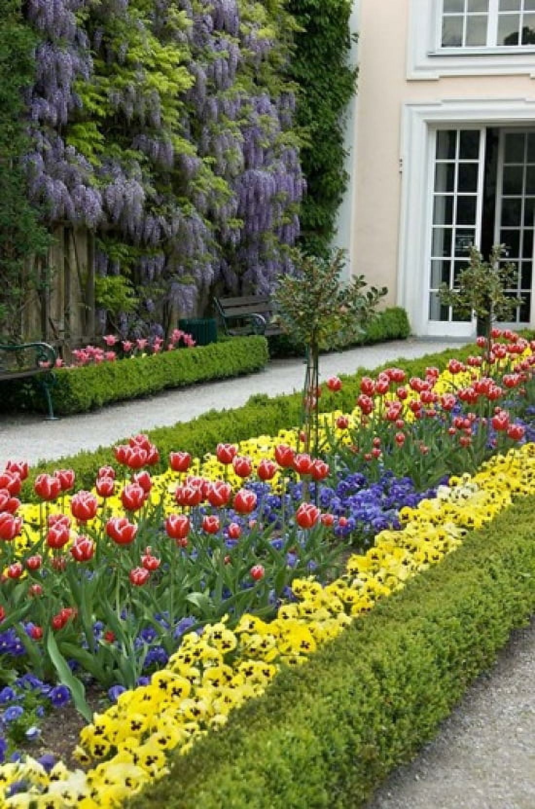 Mirabell Garden Canvas Art - Lisa S Engelbrecht DanitaDelimont (24 x 36)