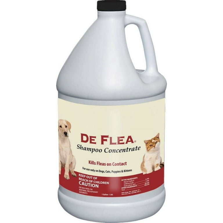 Miracle Care De Flea Shampoo Concentrate Dog Flea Tick Shampoos 1 gallon Walmart