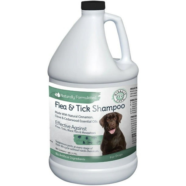 Natural flea bath 2025