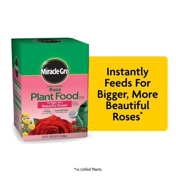 Miracle-Gro Water Soluble Rose Plant Food, 1.5 lbs., Feeds Instantly