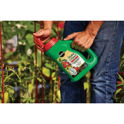 Miracle-Gro Shake n Feed Tomato, Fruits & Vegetables Plus Calcium Dry Plant Food - Pack of 4