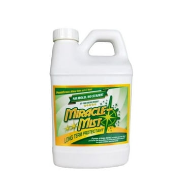 Miracle Mist Long-Term Protectant (LTP) Spray, Prevents Mold, Mildew, and Algae Growth for RV, Camper, and Boat Exterior and Interior, 1 Gallon