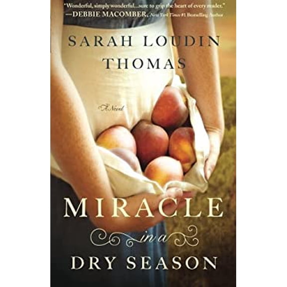 Pre-Owned Miracle in a Dry Season (Paperback) 0764212257 9780764212253