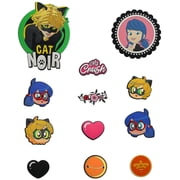 Miraculous Ladybug Shoe and bag Charms for Girls Teens, 12 Assorted Ladybug and Cat Noir Badges, Shoe Decoration Charms, Party Favors Gifts Boys Kids Adults Wyncor