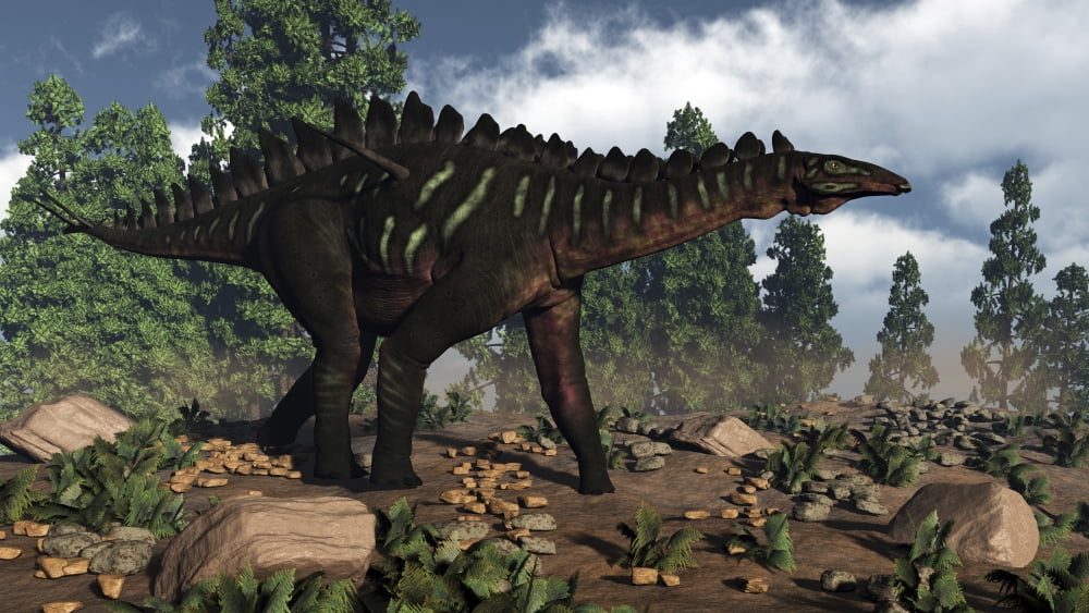 Miragaia dinosaur walking near Wollemi pines Canvas Art - Elena DuvernayStocktrek Images (37 x 21)