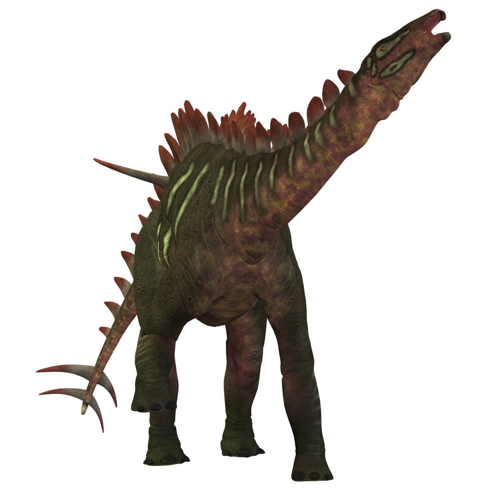 Miragaia is a genus of stegosaurid dinosaur Canvas Art - Corey FordStocktrek Images (29 x 29)