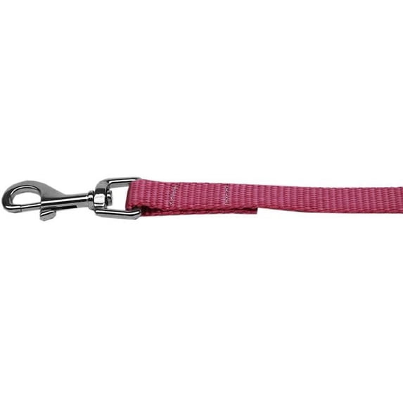 Mirage Pet 124-1 RS1004 Plain Nylon Pet Leash, Rose - 1 in. by 4 ft.