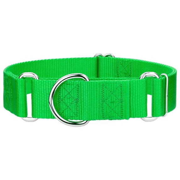 Mirage Pet 124-1M HLGSM Plain Nylon Martingale Dog Collar, Small - Hot Lime Green